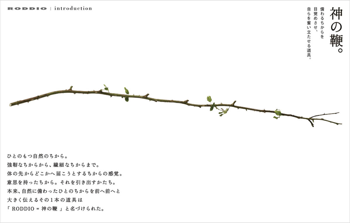RODDIO 神の鞭。